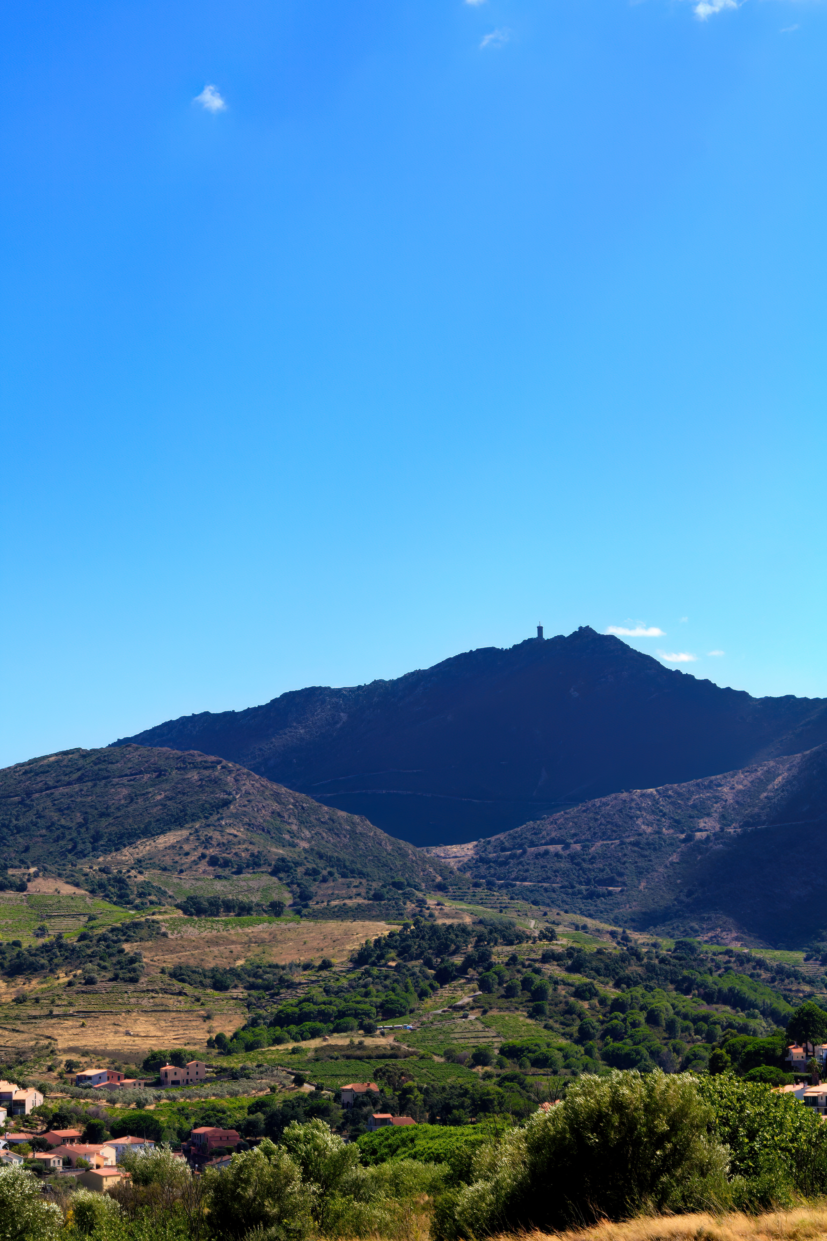 La Tour de la Madeloc ጠ Vigie au-dessus des vignes de Collioure